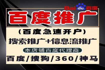 揭秘百度推广：成功案例背后的秘诀